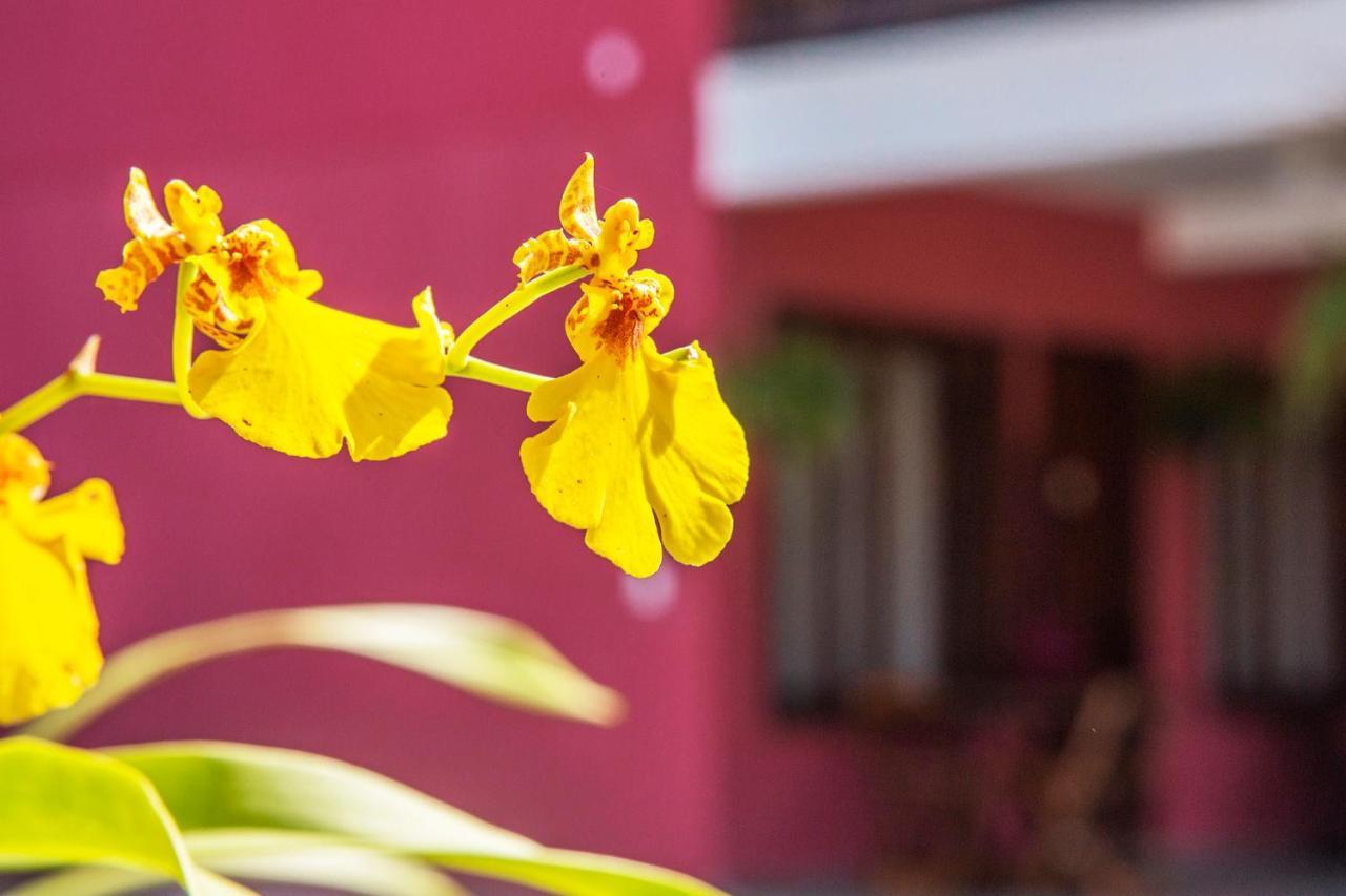 Suites Las Flores Maresias Exterior foto